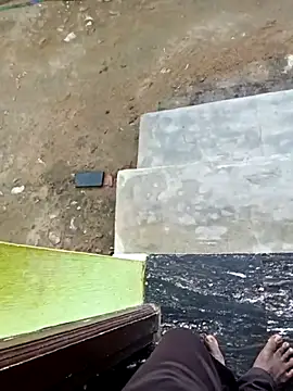 dolphiinn online show from November 1, 2025, 12:50 am