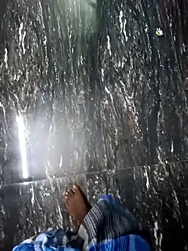 dolphiinn online show from November 28, 2025, 1:33 pm