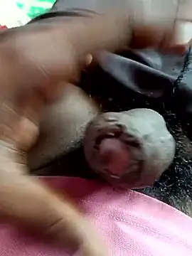 dolphiinn online show from November 4, 2025, 5:33 am