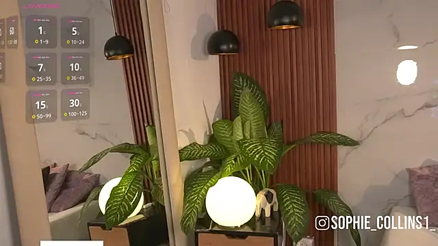 Snapshot of SophieCollins_1 chatting on April 10, 2026, 11:50 am SophieCollins 1 online show from April 10, 2026, 11:50 am