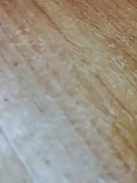 Snapshot of Markroco696 chatting on November 13, 2025, 5:22 am Markroco696 online show from November 13, 2025, 5:22 am