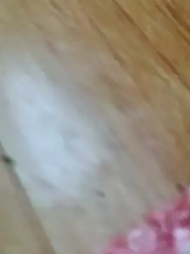 Snapshot of Markroco696 chatting on October 18, 2025, 2:57 am Markroco696 online show from October 18, 2025, 2:57 am