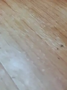 Snapshot of Markroco696 chatting on November 14, 2025, 4:05 am Markroco696 online show from November 14, 2025, 4:05 am