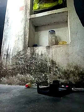 Snapshot of cute_diya_12 chatting on December 14, 2025, 2:51 am cute diya 12 online show from December 14, 2025, 2:51 am