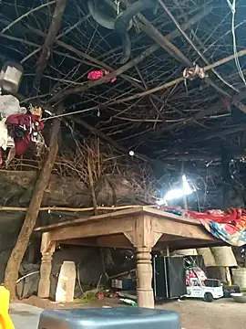 Snapshot of cute_diya_12 chatting on November 18, 2025, 3:32 am cute diya 12 online show from November 18, 2025, 3:32 am