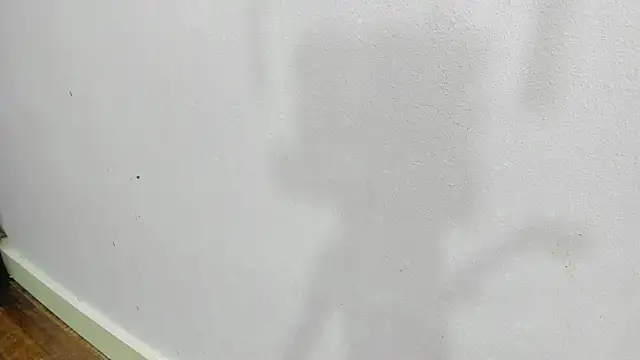 scarlett646 online show from January 14, 2026, 3:10 am