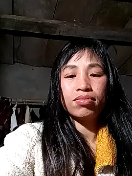 misa 00 online show from February 4, 2026, 2:45 pm