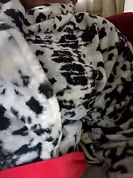 Mimi69dalo3a online show from December 19, 2025, 8:06 am