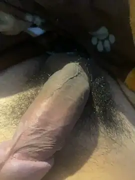 zzagreo online show from July 4, 2026, 7:59 am