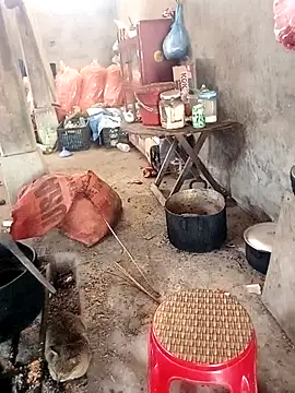 rubi bae online show from February 24, 2026, 4:02 am