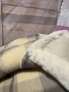 Snapshot of Binjt chatting on December 4, 2025, 11:48 pm Binjt online show from December 4, 2025, 11:48 pm