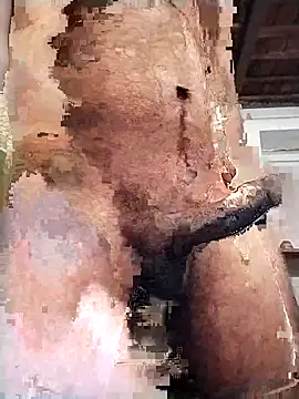 Snapshot of PunjabiSardarBull chatting on February 14, 2026, 3:01 pm PunjabiSardarBull online show from February 14, 2026, 3:01 pm