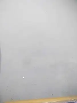 YourTarzan online show from December 15, 2025, 8:09 am