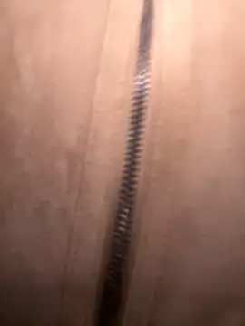 Snapshot of FroggyAnna chatting on November 1, 2025, 3:39 pm FroggyAnna online show from November 1, 2025, 3:39 pm