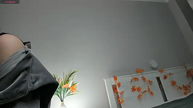 Snapshot of AuroraVice chatting on November 27, 2025, 6:03 am AuroraVice online show from November 27, 2025, 6:03 am