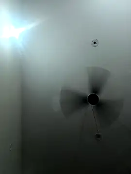 Appypie online show from September 16, 2025, 4:41 pm