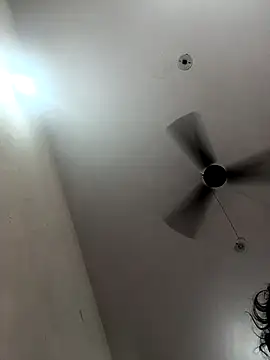 Appypie online show from October 23, 2025, 7:18 am