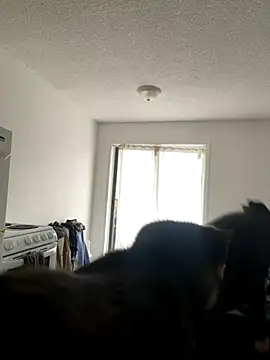 Snapshot of inked_nekoo chatting on December 3, 2025, 3:33 pm inked nekoo online show from December 3, 2025, 3:33 pm