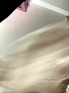 Pyy07 online show from November 9, 2025, 12:31 pm