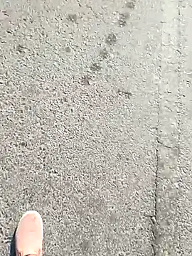 beerant online show from November 16, 2025, 5:34 am