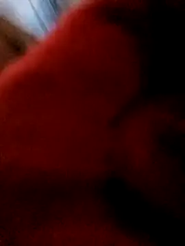 bing-bing88 online show from February 12, 2026, 1:55 pm