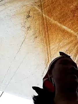 bing-bing88 online show from February 20, 2026, 3:25 am