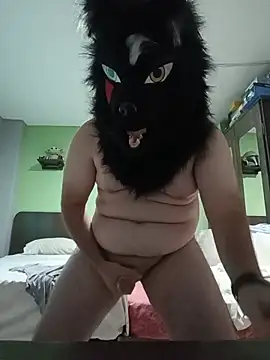 Wolf Okami SP online show from July 21, 2026, 2:29 pm