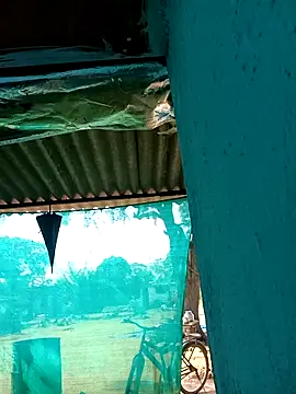 Snapshot of Hot-honi chatting on November 5, 2025, 4:59 am Hot-honi online show from November 5, 2025, 4:59 am