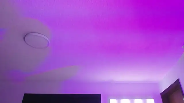  Charlotte Collins  online show from September 22, 2025, 2:12 pm