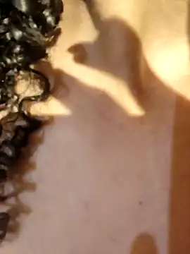 kate lua online show from April 2, 2026, 4:30 am