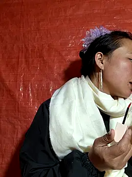 liu-liusexy online show from November 27, 2025, 2:17 pm