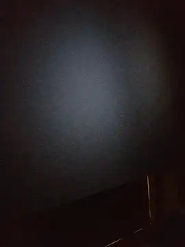 Snapshot of 948197 chatting on November 12, 2025, 4:11 pm 948197 online show from November 12, 2025, 4:11 pm