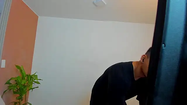  online show from November 27, 2025, 11:10 am