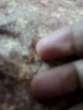 Snapshot of BeautyGirl_sara chatting on February 14, 2026, 9:42 am BeautyGirl sara online show from February 14, 2026, 9:42 am