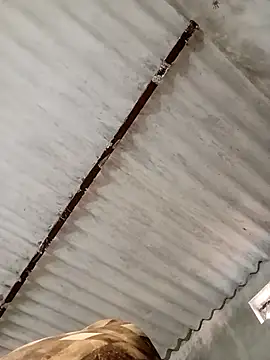 Payal950 online show from November 7, 2025, 11:15 am