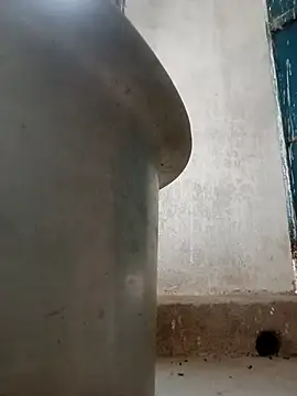 Payal950 online show from September 26, 2025, 12:12 pm