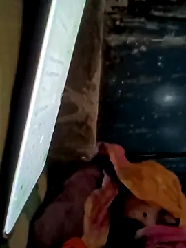 Payal950 online show from November 16, 2025, 1:43 am