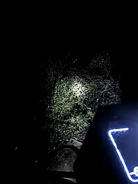 Snapshot of MODEST11_MMiILOO_AMARO chatting on November 18, 2025, 5:33 am MODEST11 MMiILOO AMARO online show from November 18, 2025, 5:33 am