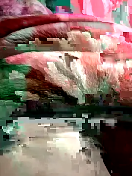 Snapshot of Radha8080 chatting on November 21, 2025, 5:01 pm Radha8080 online show from November 21, 2025, 5:01 pm