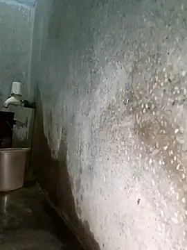 Mr xxx007xh online show from February 3, 2026, 11:26 am