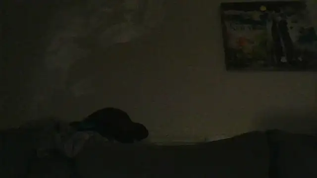 Snapshot of branletteur chatting on October 6, 2025, 7:53 am branletteur online show from October 6, 2025, 7:53 am