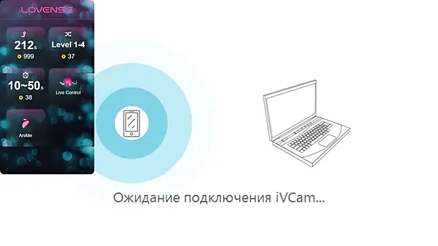 liuli flower online show from November 23, 2025, 4:28 pm