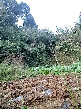 Snapshot of hera-00 chatting on November 24, 2025, 8:58 am hera-00 online show from November 24, 2025, 8:58 am