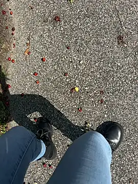 BabyLeopard online show from September 29, 2025, 10:33 am