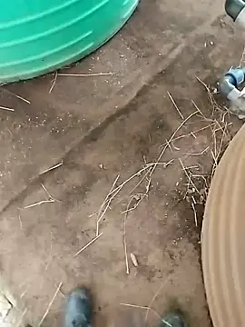 Snapshot of BigboyDick2 chatting on October 20, 2025, 12:38 pm BigboyDick2 online show from October 20, 2025, 12:38 pm