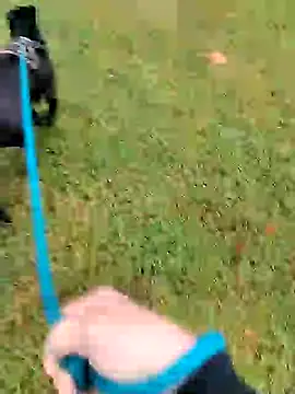 Unknownstepbrother online show from October 5, 2025, 7:59 pm