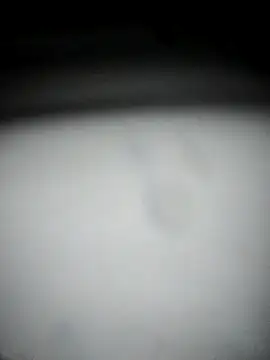 hana9998 online show from September 11, 2025, 12:54 am