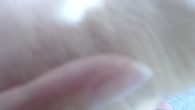 Snapshot of karla_lopes chatting on December 14, 2025, 12:55 pm karla lopes online show from December 14, 2025, 12:55 pm