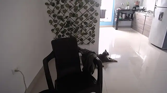 yohacriss online show from December 16, 2025, 8:35 pm