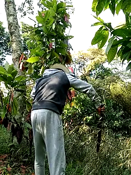 AlphaAlterX online show from February 28, 2026, 1:22 pm